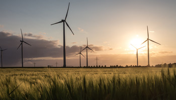 Windenergieanlagen | © Adobe Stock / Tobias Arhelger Sieben Windenergieanlagen auf einem Feld in der Abenddämmerung | © Adobe Stock / Tobias Arhelger