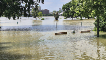 22. Hochwasserschutzforum | © VRRN/Le überschwemmter Grünstreifen am Rhein | © VRRN/Le