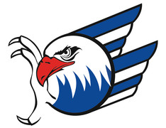 Logo "Adler Mannheim" | © Adler Mannheim