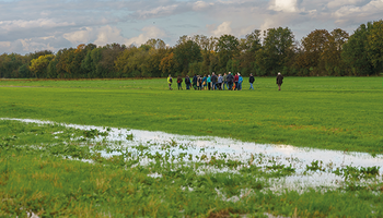 Wiese mit Pfützen über die eine Gruppe von Menschen laufen | © stremio/Leipzig/Jehnichen